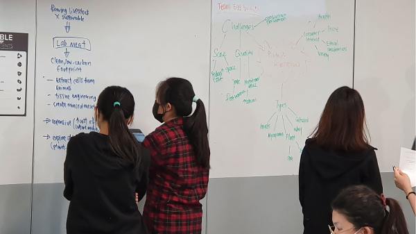 新加坡理工大学互动媒体与游戏开发专业课程介绍:创新与实践的完美结合(深度剖析,助力未来游戏产业人才培养)