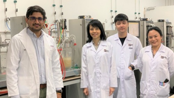 新加坡理工大学SIT电气与电子工程荣誉学士学制